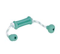 Jouet pour chien bâton avec corde en caoutchouc Nobby Pet Dental Line Turquoise 37x9 cm