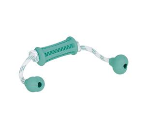 Jouet pour chien bâton avec corde en caoutchouc Nobby Pet Dental Line Turquoise 37x9 cm