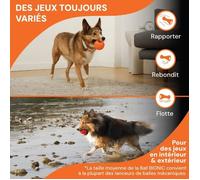Jouet pour chien - BIONIC - Balle - Taille Medium 6,7 cm - Caoutchouc ultra résistant - sans plomb, BPA ni phtalates