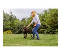 Nobby Os avec 5 Nœuds en Cotton pour Chien Multicolore 1 kg