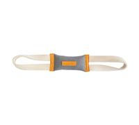 Jouet pour chien D&D Home Bruno Earl Gris 34x5,5x3 cm
