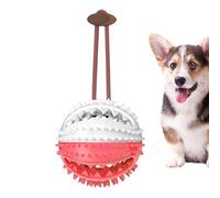 Jouet pour Chien, Distributeur de Jouets pour Chiens, Jouet Souple résistant à la Morsure pour Chien, Espace de Dents de Chiot agressif Chewers.