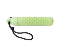 Jouet pour chien flottant - jouet pour chien pare-chocs en caoutchouc | Jeu de piscine chiot | Midget pour chiots d'été interactifs, visibilité de couleur vive, outil d'entraînement