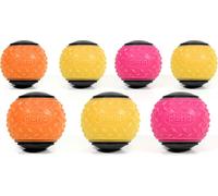Jouet pour chien Gloria Coloré TPR 24 pièces