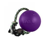 Jouet Pour Chien Jolly Romp-N-Roll 8" Violet 1 Compte Par Jolly Pets