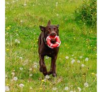 Jouet pour chien Nobby Pet Tpr Rettungsring Mit Seil Rouge Ø15 cm