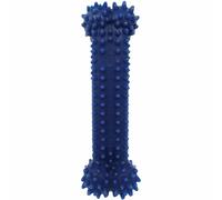 Jouet pour chien Nylabone Moderate Dental Chew - Chicken L Bleu L