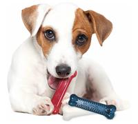 Jouet pour chien Nylabone Small Dog Dental Blue Chew - Bacon Chicken / Moderate Chew Origin XS Rouge XS