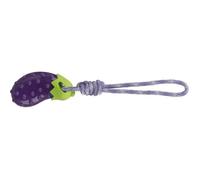 Jouet Pour Chien - Trixie - Aubergine Sur Corde - Violet - Taille Unique - Pack De 3