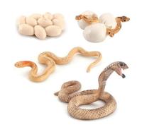 Jouet Pour Enfants, Modèle D'animaux Sauvages Simulés, Reptile, Boa, Constrictor, Cobra, Serpent À Sonnette, Cycle De Croissance Biologique