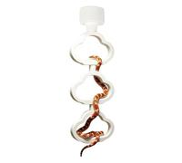 Jouet pour l'occupation des serpents | Jouet interactif en anneau pour reptiles - Décoration d'habitat serpent | pour l'habitat du terrarium et l'enclos des agames barbus, caméléons, iguanes, gecks