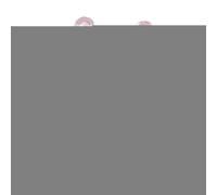 Jouet Pour Oiseaux,Accessoires De Cage Interactifs Et Décoratifs Anti-Ennui | Jouet Roue Tournante Pour Perruches - Pour Maison Salon Cage Oiseaux Calopsittes Conures Inséparables Gris D'Afrique Cacat