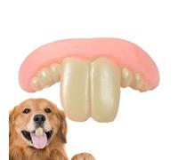 Jouet pour prothèse dentaire pour chien, fausse orthèse, jouet humoristique pour chien, dents de chien durables, jouet résistant aux déchirures, facile à porter, costume d'Halloween, équipement