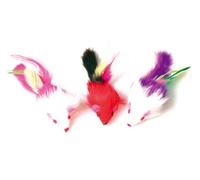 Jouet Souris Pour Chat/Zolux - Lot De 3 Souris À Plumes Moyen Modèle