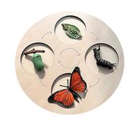 Jouet sur le cycle de vie des papillons - Figurines sur le cycle de vie - Jouets sur le cycle de vie des insectes - Puzzle sur le cycle de vie | Jouet éducatif interactif en bois aux couleurs vives po