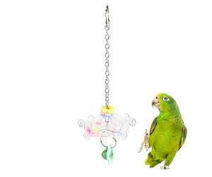 Jouet Tourniquet pour Moineau - Accessoires d'enrichissement rotatifs à 360° pour Oiseaux,Roue ludique pour Oiseaux - pour perroquets, calopsittes, inséparables, Conures, perruches, canaris, Usage