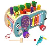 Jouets 8 en 1, cube en bois - Montre Labyrinthe Animal qui apprend à tirer la carotte - Trailer d'activité, améliore la motricité fine, cubes en bois de conception 8 en 1 pour l'école maternelle et