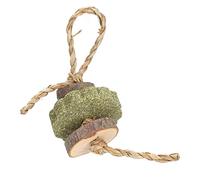 Jouets à Mâcher en Bois de Pommier, Bâtonnets Molaires et Gâteaux d'herbe pour Un Soin Dentaire Sain des Hamsters et des Lapins, 23g