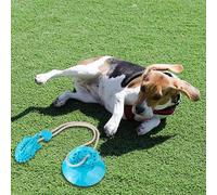 Jouets à mâcher indestructibles pour chien - Chaussons à ventouse - Dents durables - Fuites de nourriture - Ennui - Auto-indulgence - Consomme de l'énergie - Jouets de rongeur pour chien de taille