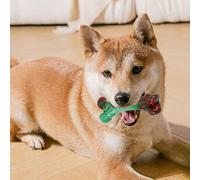 Jouets à mâcher interactifs indestructibles pour chien - Jouet couineur durable pour divertissement et dentition (A, 12. 2 x 5 cm)