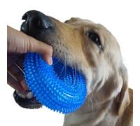 Jouets à mâcher pour animaux de compagnie Golden Retriever, anneau d'épine à mâcher amusant, son interactif