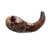 Jouets à mâcher pour chiens, articles durs pour chiots en dentition, jouets pour grandes races et mâcheurs forts, petites et grandes races, intérieur, maison, appartement, santé