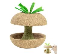 Jouets à mâcher pour hamsters - en forme de fruits, morceaux de bois naturel, paquet d'activités dentaires pour petits animaux, ensemble d'enrichissement à ronger longue durée | P