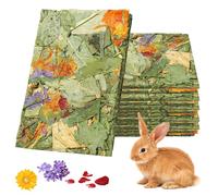 Jouets À Mâcher pour Lapin, 15 Pièces Jouet À Mâcher pour Lapin, Friandises pour Lapin, Foin Naturel Timothy Molaire pour Chinchilla Lapins Cochons d'Inde