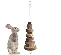 Jouets À Mâcher pour Lapins,Hygiène Dentaire Et Jeux Éducatifs Interactifs,Jouets À Mâcher Cage Hamster Lapin | pour Lapin Petits Animaux Cacatoès Écureuil Conures Intérieur Extérieur Entraînement