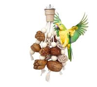 Jouets À Mâcher Pour Oiseaux | Soulagement de l'Ennui de la Calopsitte,Jouets D'Enrichissement Pour Calopsittes | Aras Conures Perruches Calopsittes Parents Oiseaux Refuges Zoos Volières Salon Chambre
