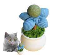Jouets Catnip pour Chats : Jouets Amusants et attrayants avec d' à Chat pour Le Temps de Jeu | Jouets d' à Chat sûrs et durables | Parfait pour Les Chats d'intérieur | C'est