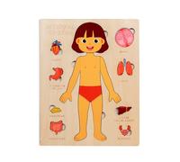 Jouets d'Anatomie pour | Parties du Corps Humain en Bois Éducatif | Jouets d'apprentissage Précoce pour Élèves Scolaire Jeu Tout-Petits Voyage Hôpital Adolescents Garçons Et Filles