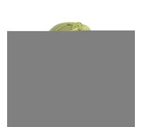 Jouets De Bain Tortues Qui Nagent,Tortue Flottante Et Interactive - Jouet de Bain Tortue à Remontoir | pour Fille Garçon Salle d'eau Maison Piscine Bord De Piscine Hôtel Long Voyage Chambre d'enfant