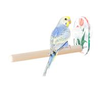 Jouets de Balançoire pour Oiseaux,Perchoirs en Bois a Ventouse pour Perruches,Calopsittes,Conures,Perruches Ondulées,Inséparables et Autres Oiseaux