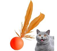 Jouets de Boules de Chat pour Chats d'intérieur, Jouets de Boule de Chaton, Balle Interactive pour Chat, Balle à Mordre Moyenne pour Chat, avec Plumes, Balle rebondissante Interactive pour Animaux de