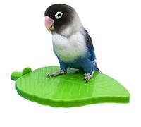 Jouets de Cage Perchoirs pour Oiseaux, Support d'Entraînement et Jeu pour Perroquets avec Forme de Feuilles, Perchoir d'exercice en Acacia, Accessoire pour Perruches et Petits Oiseaux