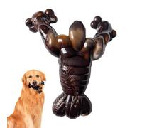 Jouets de dentition pour chien, os interactif à mâcher pour chien, jouet interactif pour chien, pour la maison, le jardin, la cour, le parc intérieur, l'extérieur, la piscine, les voyages, les moments