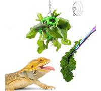Jouets d'enrichissement en forme de dragon barbu - Accessoires pour mangeoires - Boule d'alimentation pour légumes et pinces d'alimentation avec pointe en caoutchouc - Kit d'entraînement pour reptiles