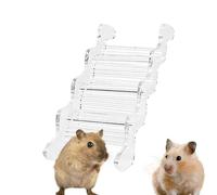 Jouets d'escalade pour hamster, pont pour hamster, Aire de jeux pour hamsters en acrylique transparent, Accessoires de cage amusants pour habitat pour animaux de compagnie, meubles pour hamster et sou
