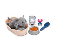 Jouets Ecoiffier - 1903 - Cat Basket - Medical - Imitation Game - From 18 Months