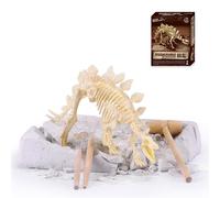 Jouets Éducatifs Pour Enfants, Modèle De Fossile, Modèle De Squelette De Dinosaure, Simulation D'excavation, Bricolage, Cadeau