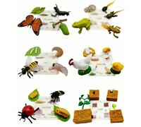 Jouets éducatifs sur le cycle de vie pour enfants, figurines réalistes avec fiches d'apprentissage, kits de jouets en entomologie, botanique, zoologie, kit papillon monarque avec chenilles vivantes Co
