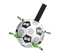 Jouets En Forme De Balle Pour Chiots | Ensemble De Jeu Interactif Robuste - Jouet Chien Balle De Rappel En Intérieur | Pour Jeu En Extérieur Au Parc Et Jardin Dressage Temps De Et Exercice Familia