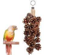 Jouets fourragers d'oiseaux, jouets à mâcher pour oiseaux | Jouets pour oiseaux domestiques avec pommes de pin,Balançoire à mâcher pour oiseaux naturels, jouets suspendus pour tritur