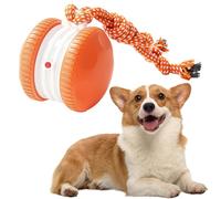 Jouets interactifs pour Chien, Balle aktive 2026 améliorée avec déplacement Automatique, Ball roulante électrique avec Corde, Jouet à couinement pour Chiens, Jeu pour l'entraînement Quotidien