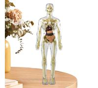 Jouets interactifs pour le corps humain - Modèle d'anatomie éducatif, kit d'apprentissage pratique, construction en plastique durable | Idéal pour l'éducation STEM, les expériences scientifiques en cl