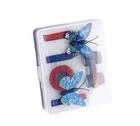 Jouets magnétiques pratiques, expériences de magnétisme, aimants, outils pédagogiques pour étudiants, enseignants