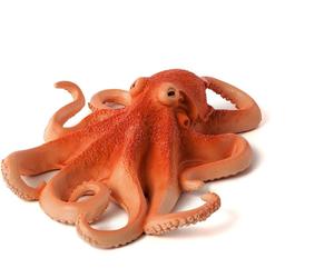 Jouets Mojo Sealife Pieuvre - 387275
