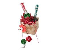 Jouets pour cage à oiseaux - Jouet coloré à mâcher pour perroquet | Jouet de recherche d'oiseaux | Jouet intéressant pour perroquet sûr et sans danger pour perruches | Jouet molaire coloré pour cage