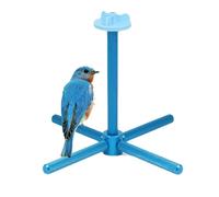 Jouets pour calopsittes | Jouets interactifs drôles à mâcher rotatifs pour cage à oiseaux de taille moyenne, pour cage d'intérieur, maison, conure, inséparables, moineaux, canaris, exercices de